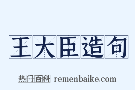 王大臣造句是什么意思的图片